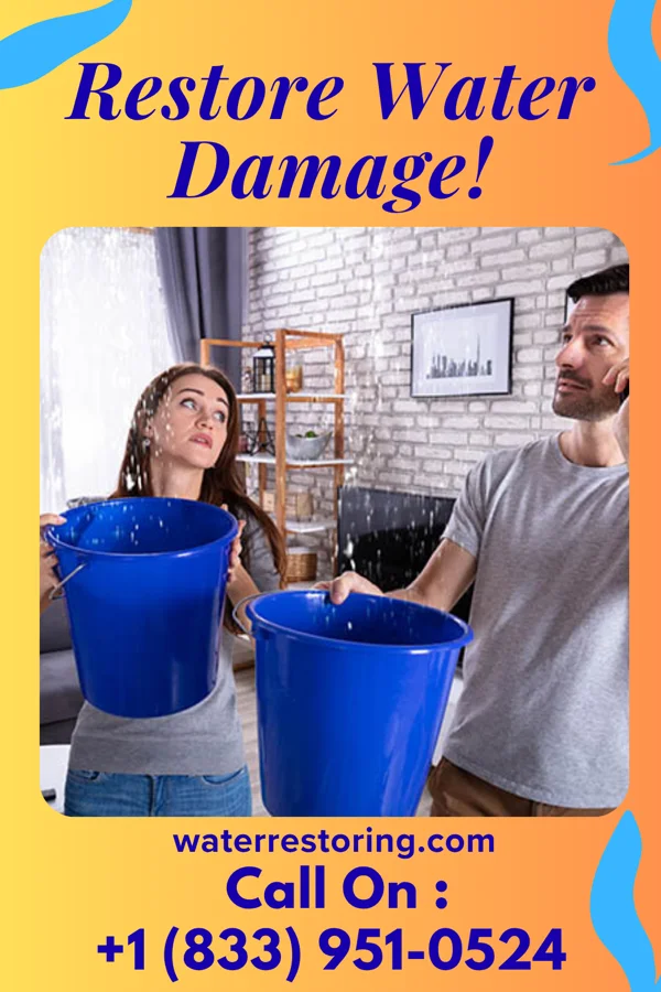 water restoration Reliable Water Repair Wayland