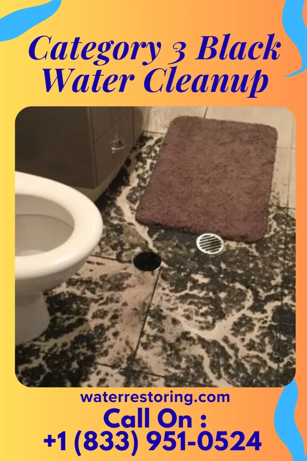 Category 3 Black Water Cleanup in Wayland, IA
