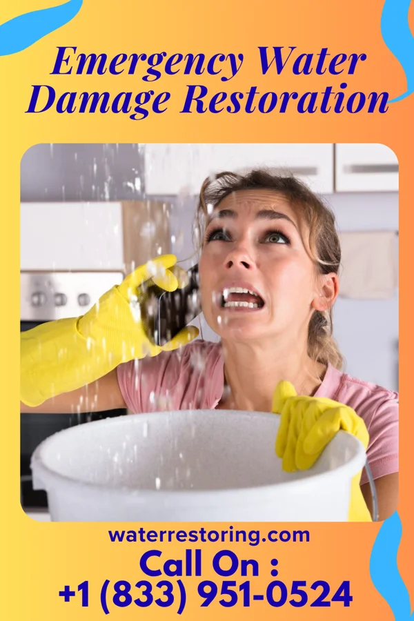 Emergency Water Damage Restoration in Wayland, IA