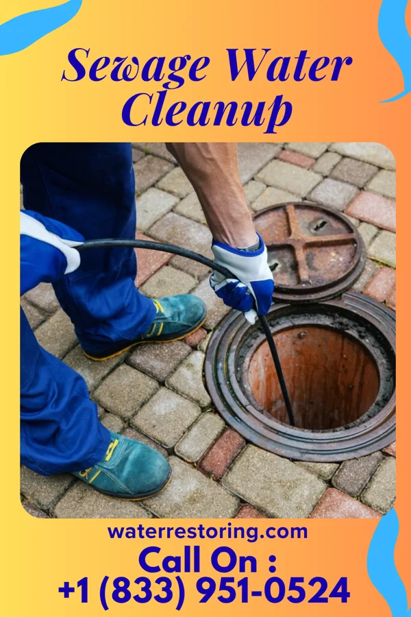 Sewage Water Cleanup in Wayland, IA
